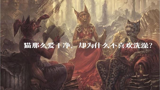 猫那么爱干净，却为什么不喜欢洗澡？