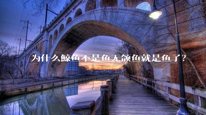 为什么鲸鱼不是鱼无颌鱼就是鱼了？