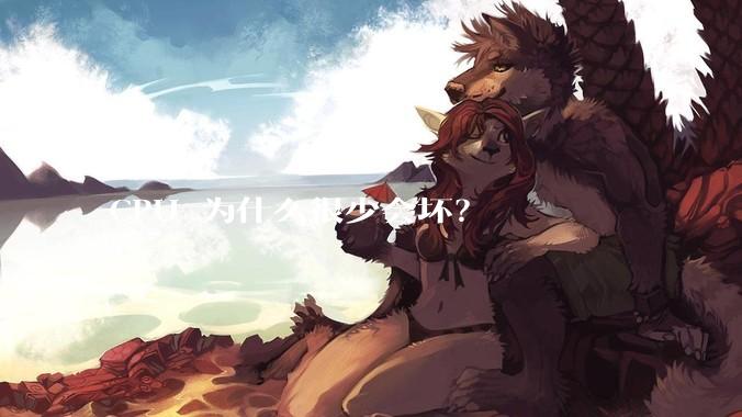 CPU 为什么很少会坏？